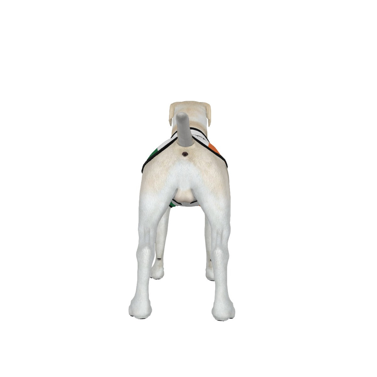 Ireland Flag/ map-Anti Woke- Big Dog's Tank top